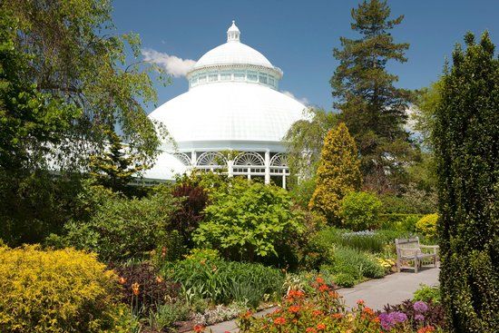 New Yorks botaniska trädgårdar